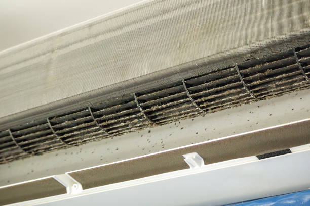Best Ventilation Cleaning Services  in Washington, NJ